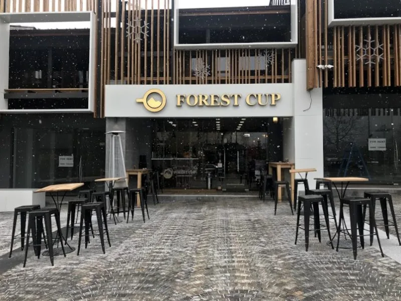 forest-cup-basnko2
