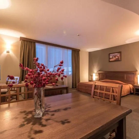 lion-bansko-hotel-room-2