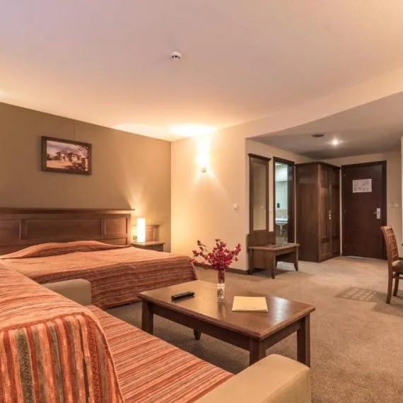 lion-bansko-hotel-room