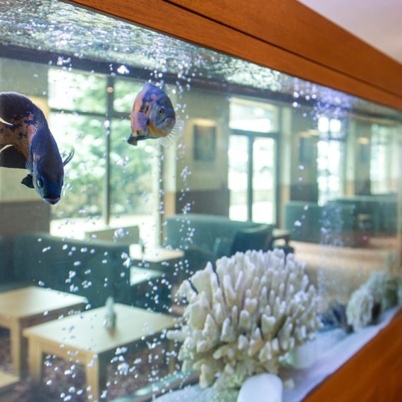vihren-palace-hotel-bansko-aquarium-min