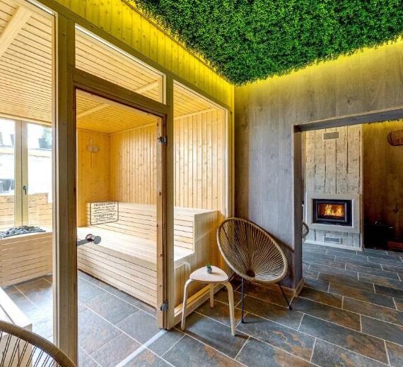 entrye bansko sauna