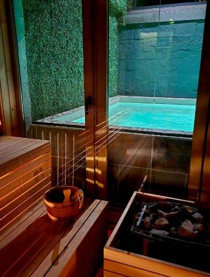 entrye bansko sauna pool