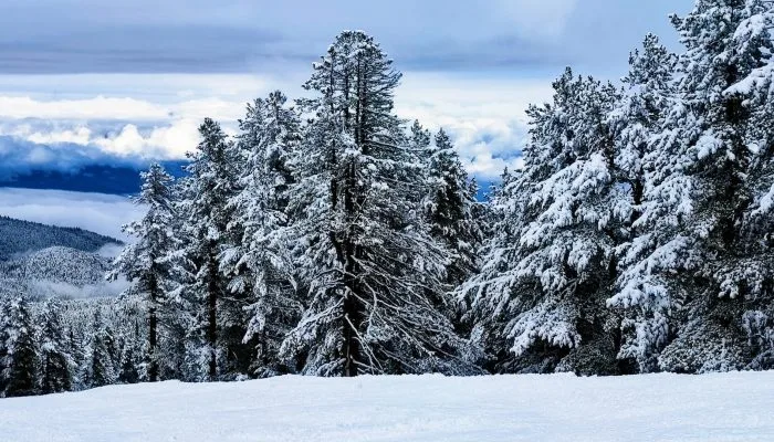 bansko-mountains-snow