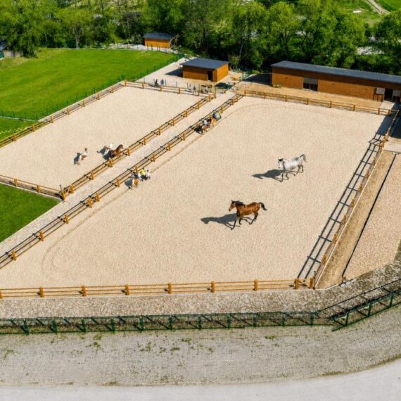 Grand-Hotel-Therme-bansko-horses