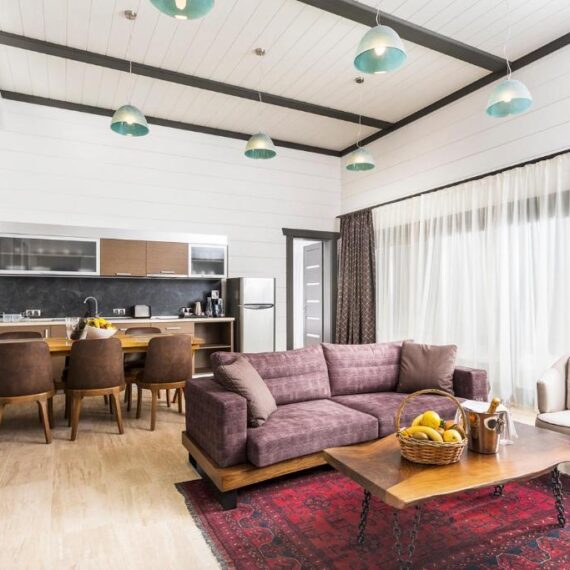 Hot-Springs-Medical-and-SPA-bansko-room-lounge-kitchen