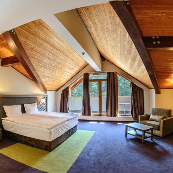 Hot-Springs-Medical-and-SPA-bansko-studio